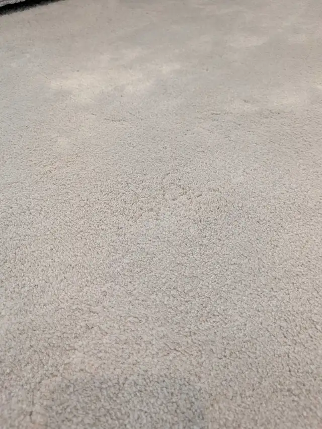 Same-Day stain removal & upholstery cleaning EMERGENCIES SAMEDAY - Photo 10