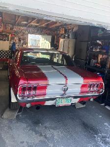 1967 Mustang collection.