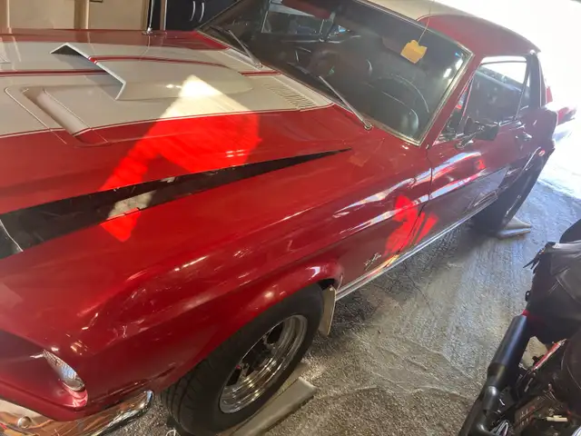 1967 Mustang collection. - Photo 5