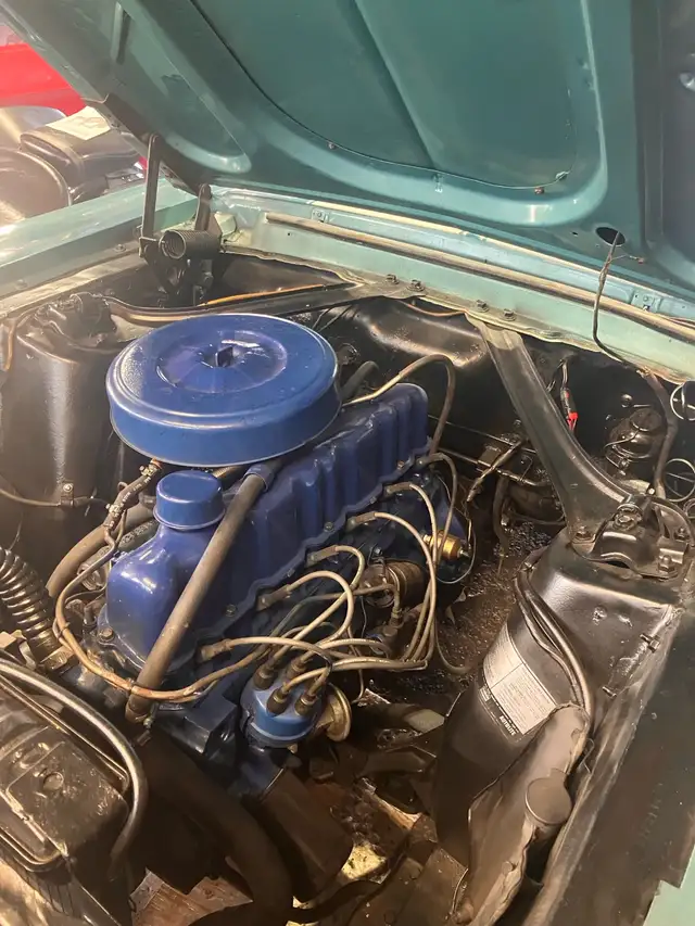 1967 Mustang collection. - Photo 8