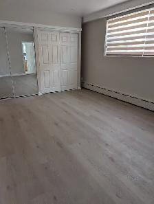 Bachelor Minutes to TTC/CRoss Town/Kennedy - Free Wifi