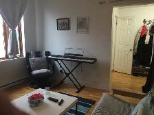 Plateau Mont-Royal – Rue St-André coin Rachel - Photo 5