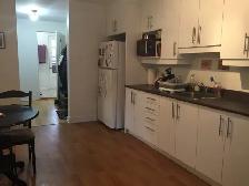 Plateau Mont-Royal – Rue St-André coin Rachel - Photo 6