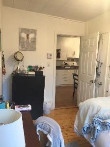 Plateau Mont-Royal – Rue St-André coin Rachel - Photo 7