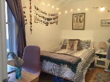 Plateau Mont-Royal – Rue St-André coin Rachel - Photo 8