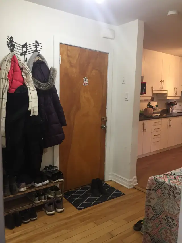 Plateau Mont-Royal – Rue St-André coin Rachel - Photo 11