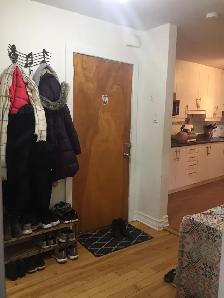 Plateau Mont-Royal – Rue St-André coin Rachel - Photo 11