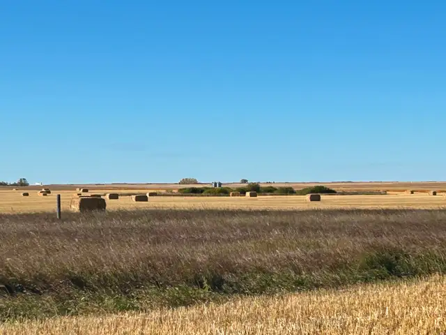 Large square straw bales for sale - Photo 2