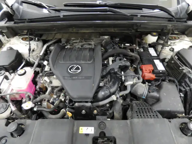 2023 LEXUS NX 350 AWD, TOIT PANO, CUIR ROUGE, CARPLAY, FULL!! - Photo 34