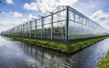 12×24m Greenhouse – Heavy Duty & Durable Structure - Photo 2