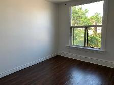 Room for Rent | 552 Lansdowne Ave - Photo 3