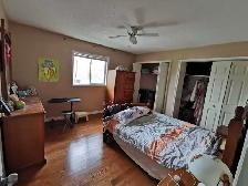 Master room for rent