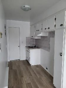 3 1/2 (1 bedroom apt) $1200 a louer Rosemont - Photo 3