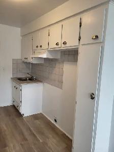 3 1/2 (1 bedroom apt) $1200 a louer Rosemont - Photo 6