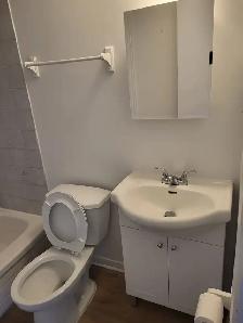 3 1/2 (1 bedroom apt) $1200 a louer Rosemont - Photo 9