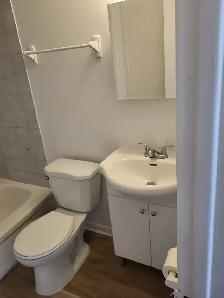 3 1/2 (1 bedroom apt) $1200 a louer Rosemont - Photo 10