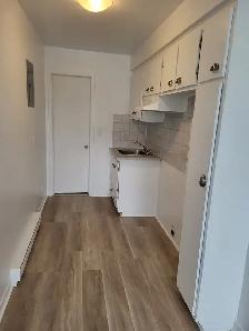 3 1/2 (1 bedroom apt) $1200 a louer Rosemont - Photo 11