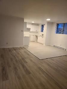 Grand 3 1/2 totalement rénové - Photo 3