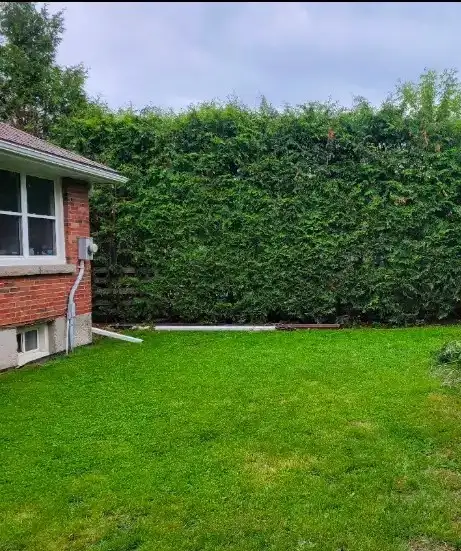 Looking for privacy? - Photo 2