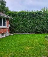 Looking for privacy? - Photo 2