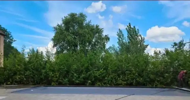 Looking for privacy? - Photo 4