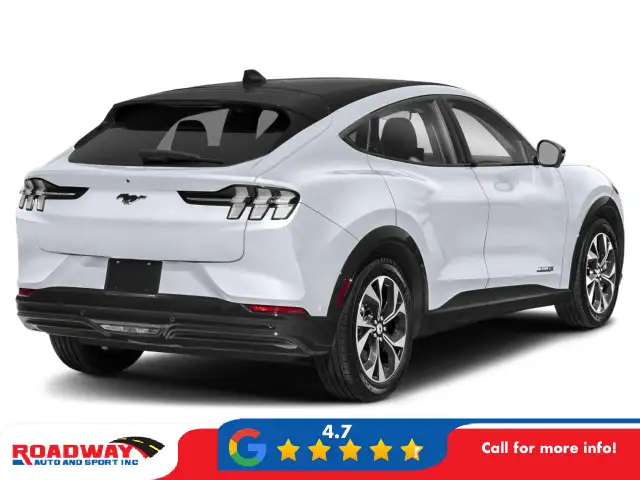 2021 Ford Mustang Mach-E Premium - Photo 2