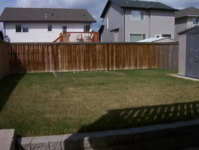 Charming 2 Bedroom Lower Level House for Rent - West Side - Photo 3