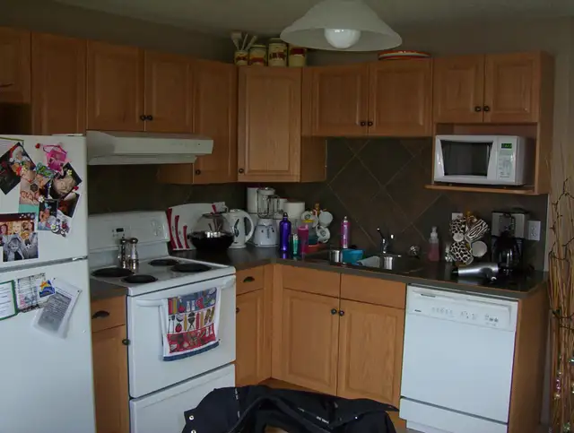 Charming 2 Bedroom Lower Level House for Rent - West Side - Photo 4