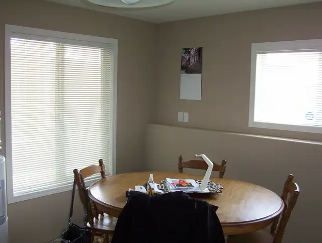 Charming 2 Bedroom Lower Level House for Rent - West Side - Photo 6