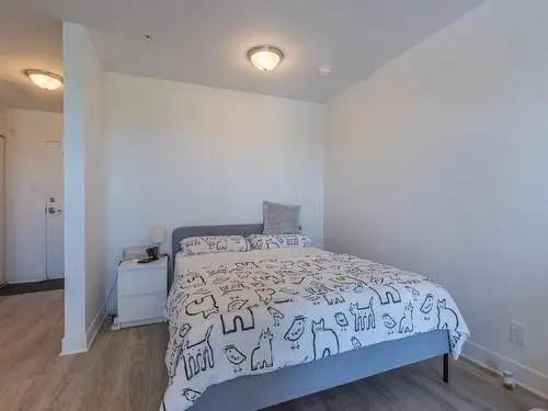 Studio for rent, 4-minute walk to Angrignon Metro   4 Appliances - Photo 8