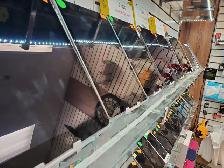 iPad 5 32Gb et 128Gb  ⚡✨⚡✨⚡