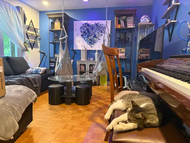 chambre a louer dans  jolie maison avec cour arrière - Photo 2