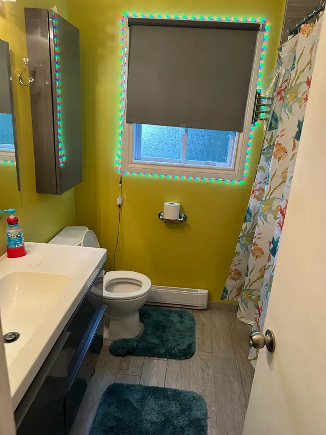 chambre a louer dans  jolie maison avec cour arrière - Photo 5