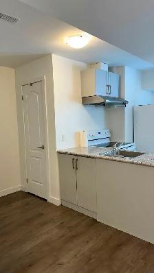 BEAUTIFUL BACHELOR GROUND FLOOR UNIT WITH WALKOUT YARD- WELLAND - Photo 5