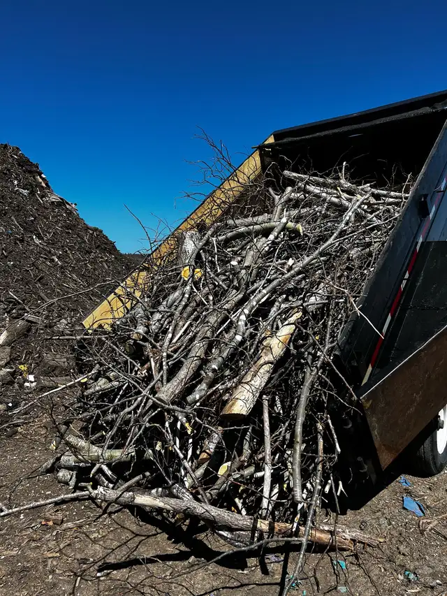 Junk Removal and Dump Runs