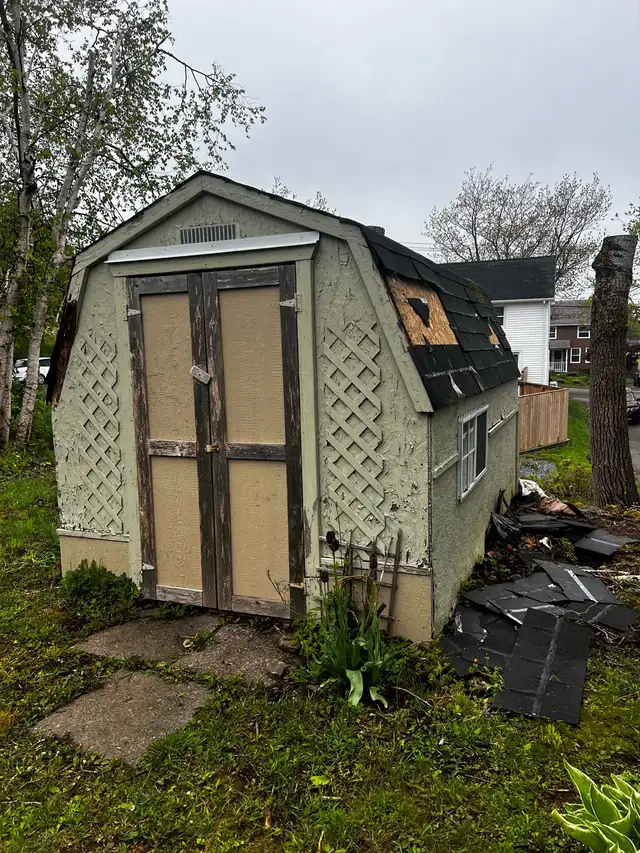 Junk Removal and Dump Runs - Photo 5