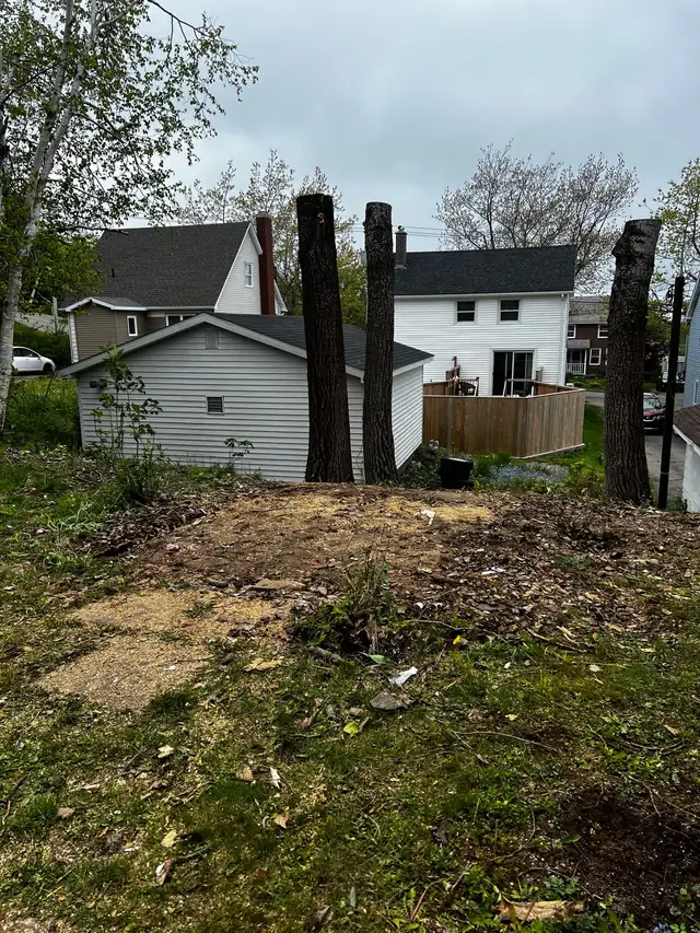 Junk Removal and Dump Runs - Photo 6