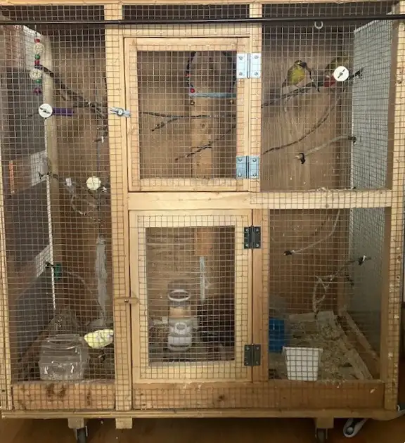 Large Flight Cage For Sale $60