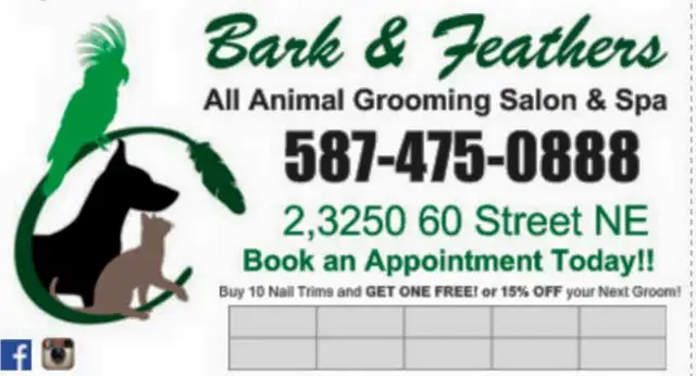Dog and Cat Grooming appts available! - Photo 2