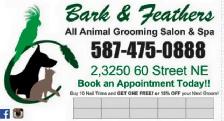 Dog and Cat Grooming appts available! - Photo 2