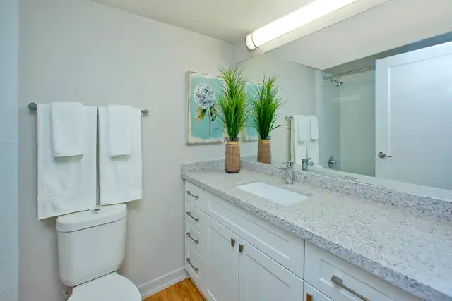 Fully Renovated 2 Bedroom Large, 2 Bath for Rent in Etobicoke! - Photo 12