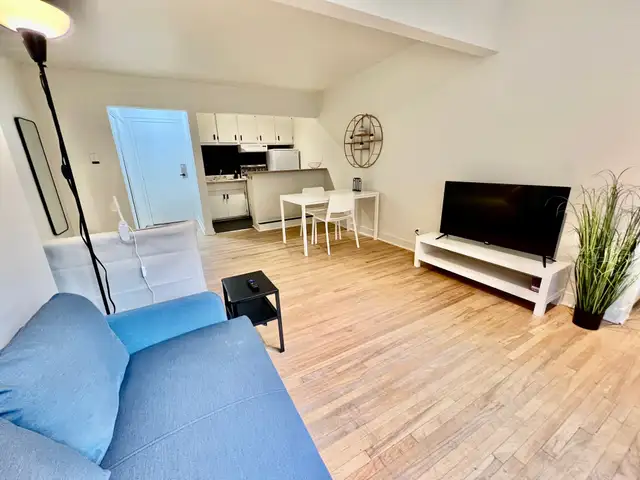 Superbe studio style loft 1 1/2, clé en main, meublé WIFI - Photo 4
