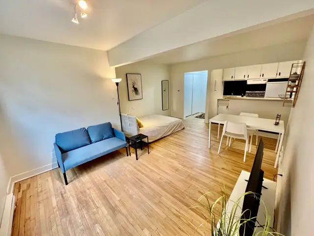 Superbe studio style loft 1 1/2, clé en main, meublé WIFI - Photo 5