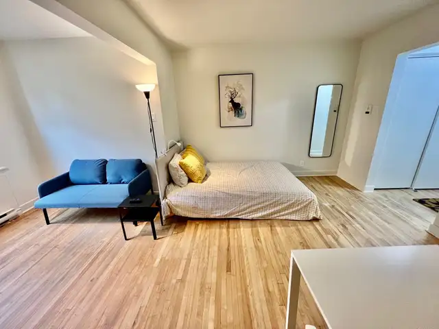 Superbe studio style loft 1 1/2, clé en main, meublé WIFI - Photo 6