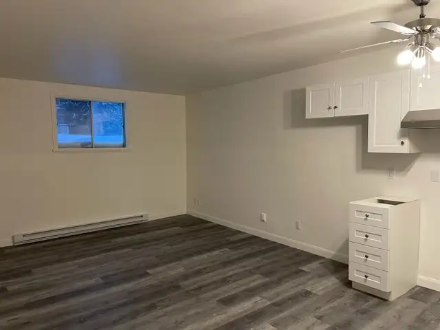 Superbe logement 3 1/2 demi sous-sol rénové Juillet - Photo 4