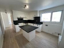 Superbe 3 1/2, 3e Avenue Charlesbourg Rénové