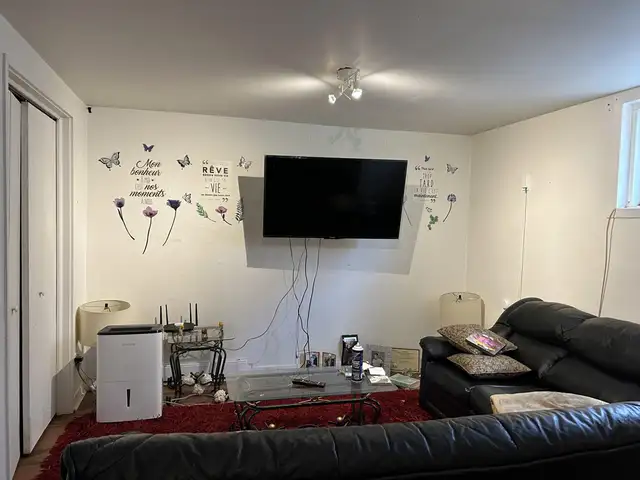 Beau 3 1/2 Limoilou, demi sous-sol WIFI juillet - Photo 6