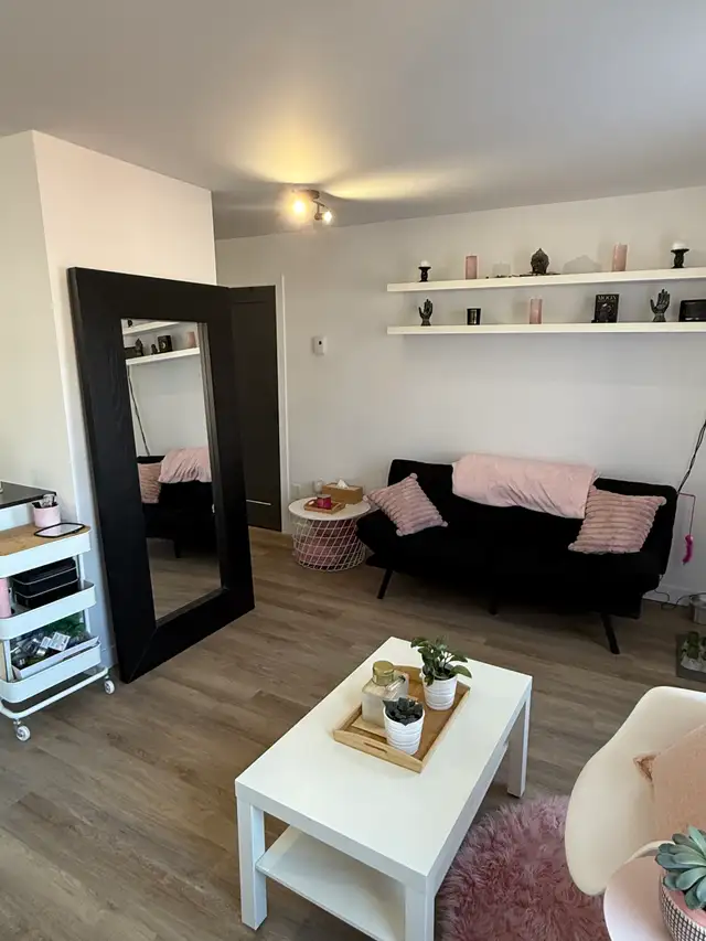 Superbes 3 1/2  rénovés libre à partir d'avril ou mai juillet - Photo 3