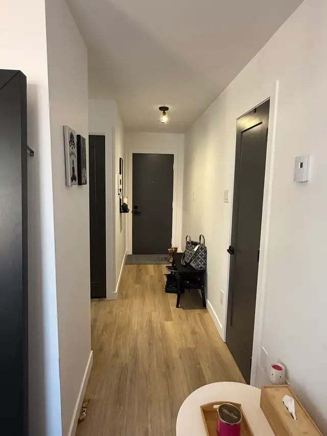 Superbes 3 1/2  rénovés libre à partir d'avril ou mai juillet - Photo 6