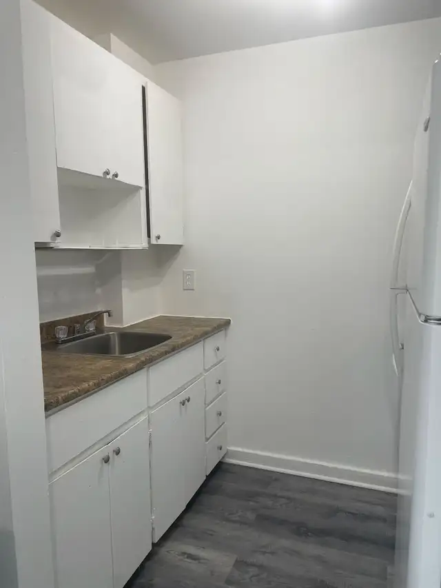 Superbe 2 1/2 style loft,  Marie Incarnation Juillet rénové ! - Photo 4